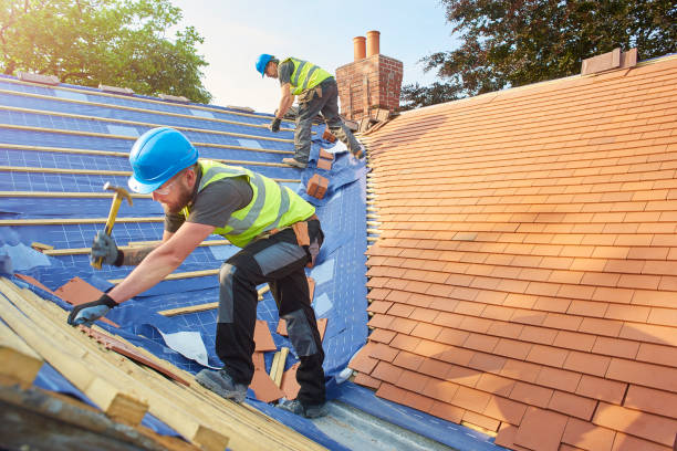 Best Roof Maintenance and Cleaning  in Crewe, VA